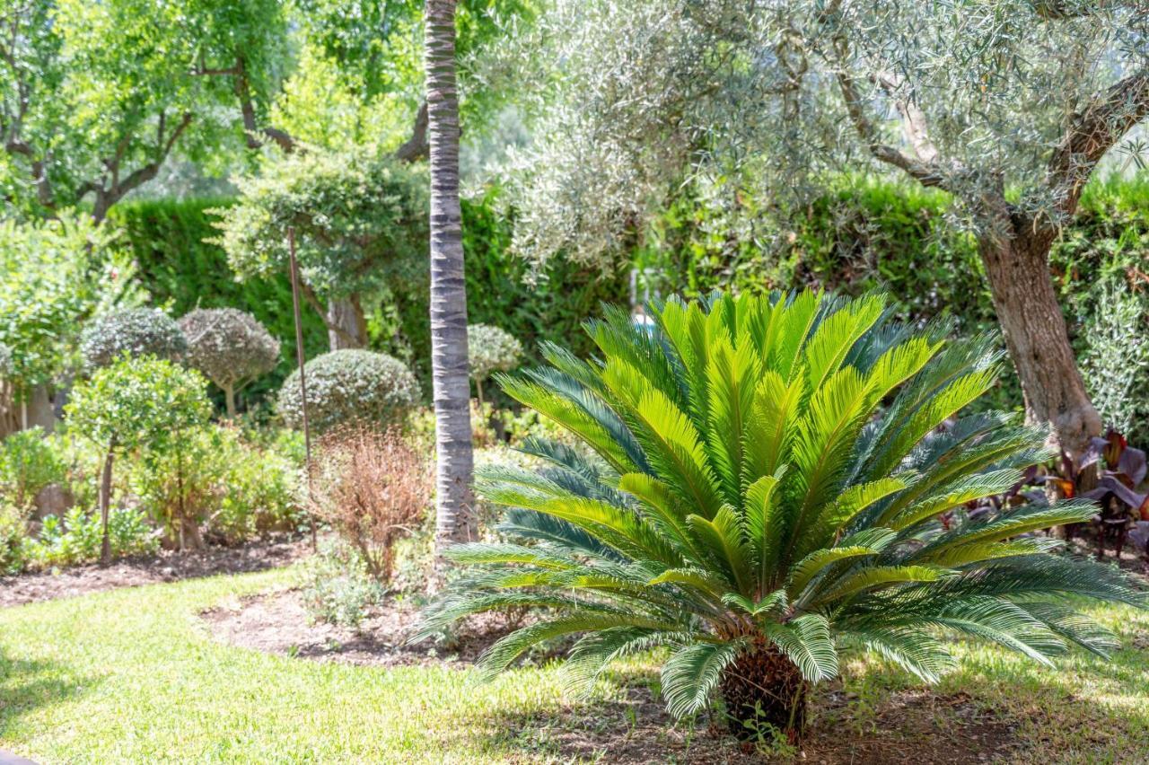 Villa La Rafal Pollensa Zewnętrze zdjęcie